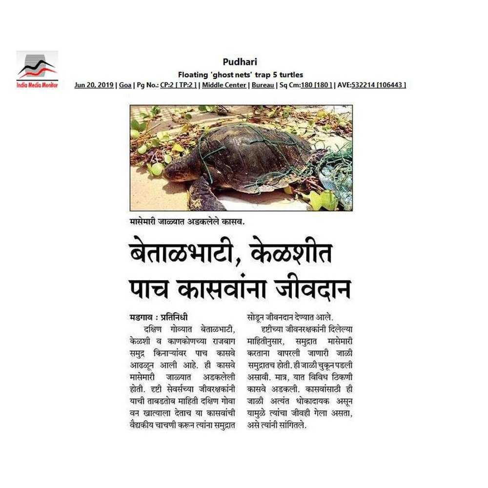 News Article — photo 5