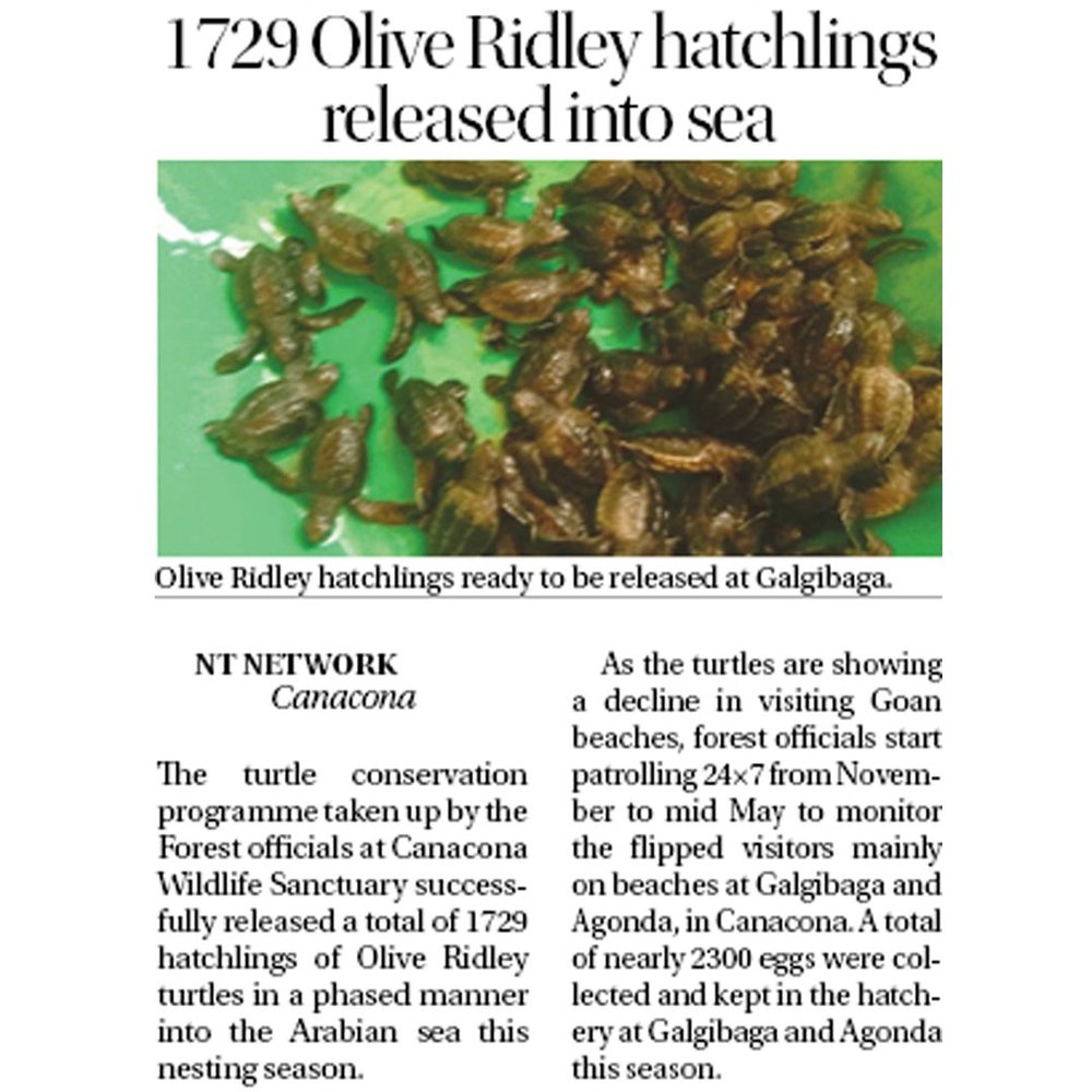News Article — photo 6