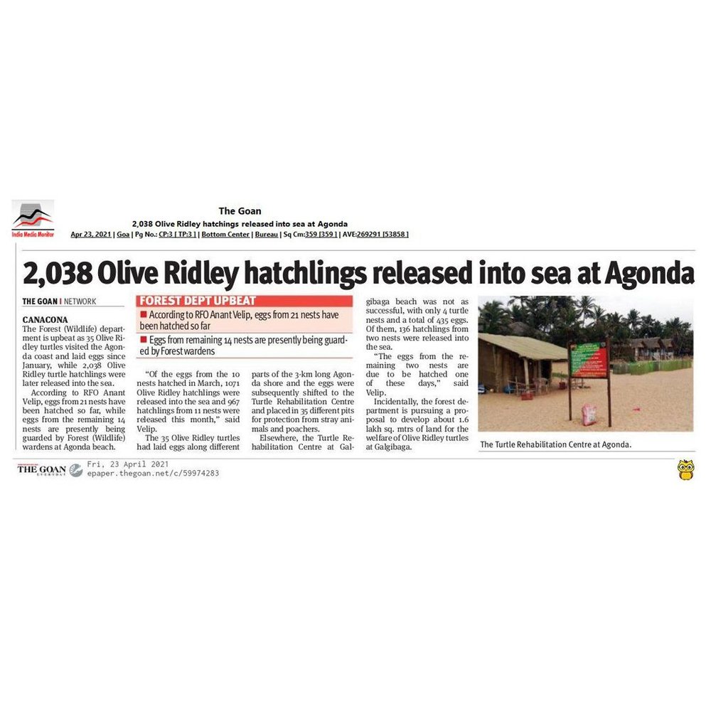 News Article — photo 7