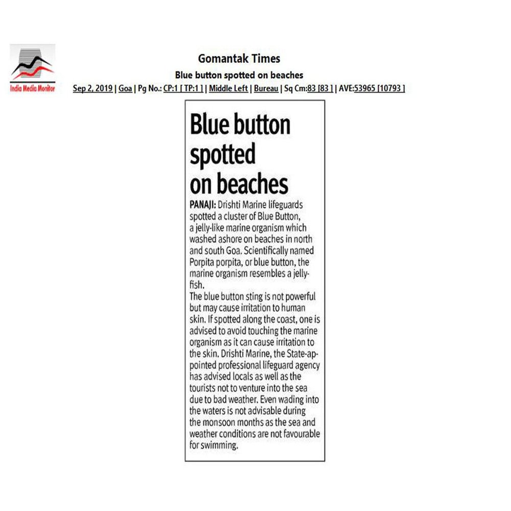 News Article — photo 8