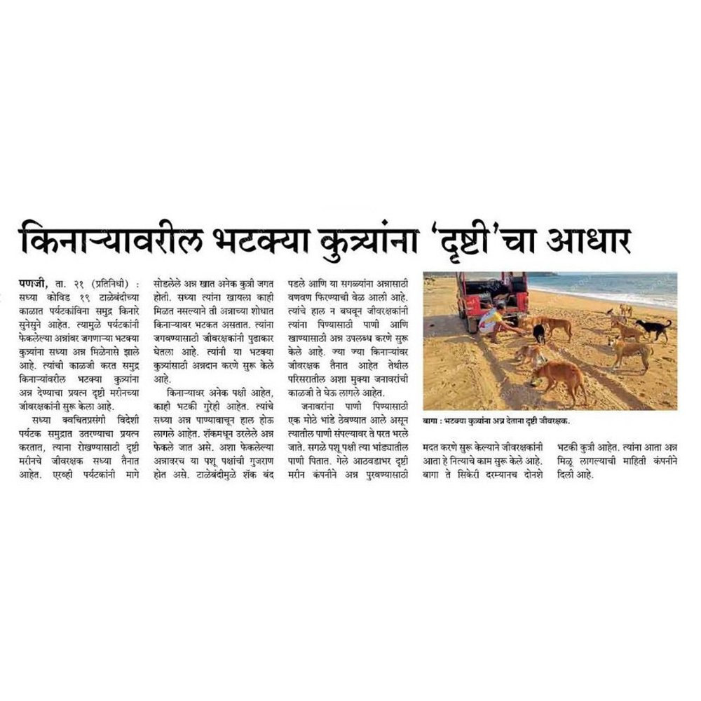 News Article — photo 9